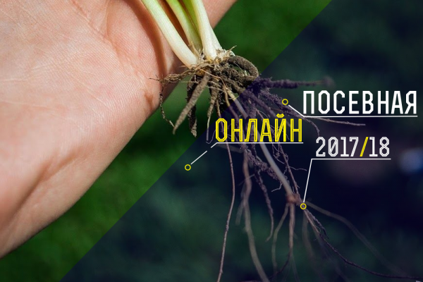 Посевная онлайн 2017/18