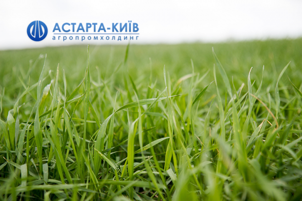 Агропромхолдинг «Астарта-Киев»