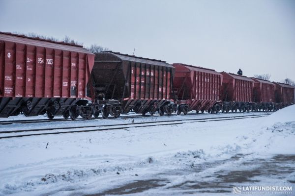 Укрзализныця за 11 месяцев 2017 г. перевезла 34 млн т зерновых грузов