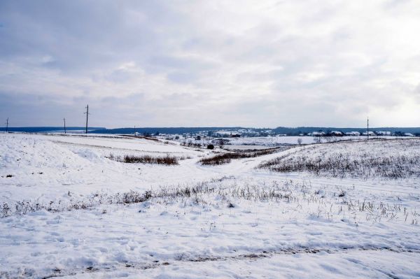 Сельскохозяйственные земли в Тернопольской области