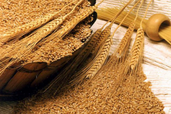 Улучшение спроса на внутреннем рынке ЕС будет способствовать снижению запасов пшеницы