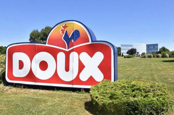 Компания Doux Group