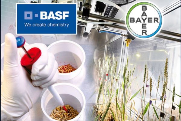 Новое соглашение BASF и Bayer