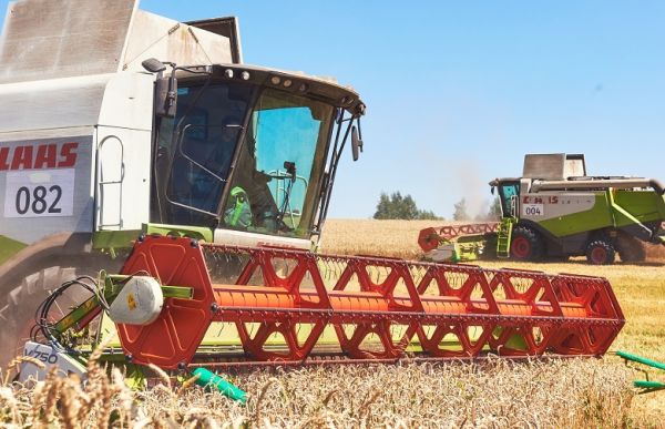 Harvesting campaign in Continental Farmers Group