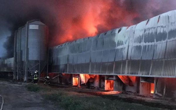 На птицефабрике в Васильковском районе снова пожар