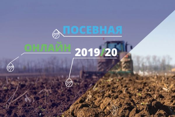 Sowing campaign in Ukraine