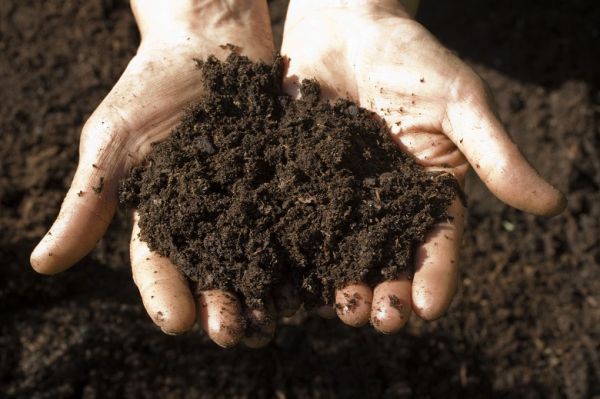 плодородие почвы органические удобрения