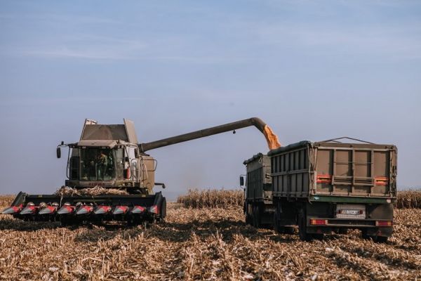 Corn harvesting in Ukraine