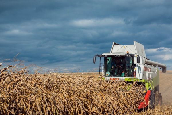 Уборка кукурузы в Украине