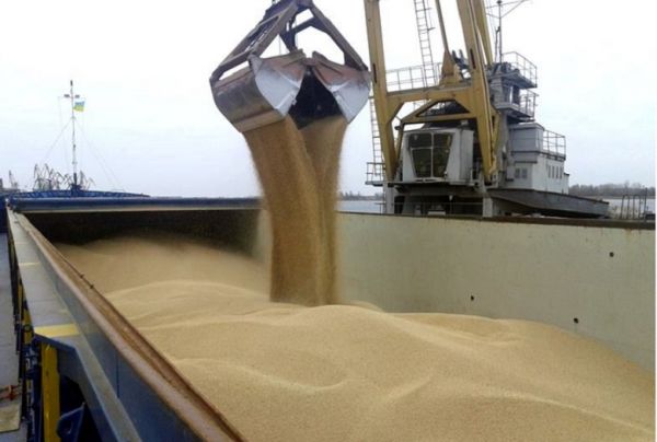 Grain shipment in the port