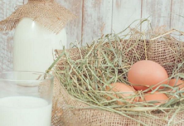 Poultry eggs and dairy products