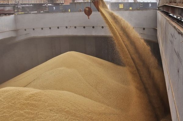 Grain loading onto the ship