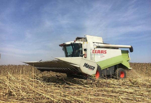 Claas grain combine harvester