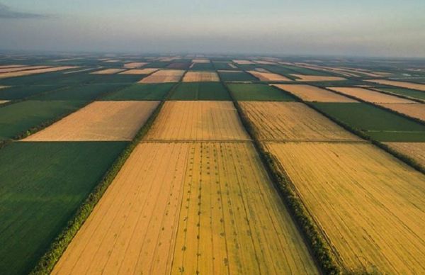 Field in Ukraine