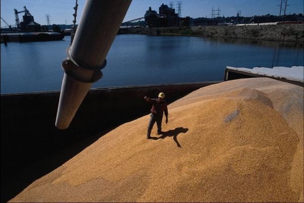 Grain shipment in seaport