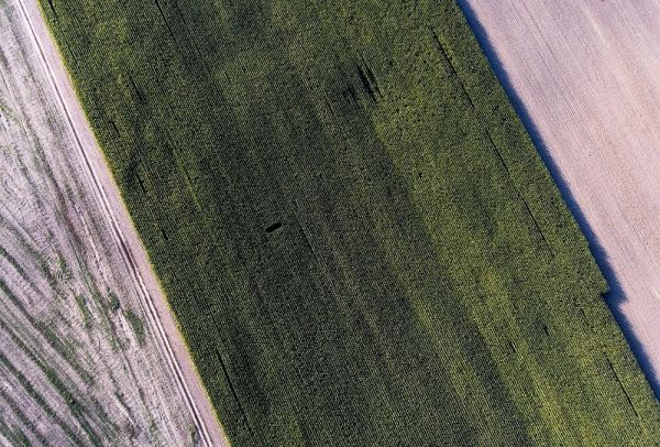 Agricultural land in Ukraine