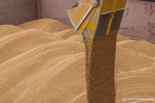 Экспорт зерновых из Украины