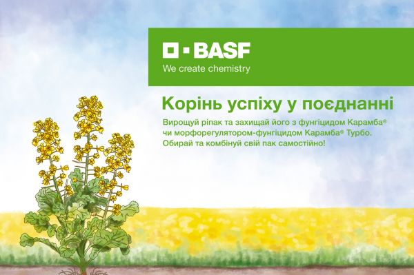 BASF обновил политику продаж семян рапса 