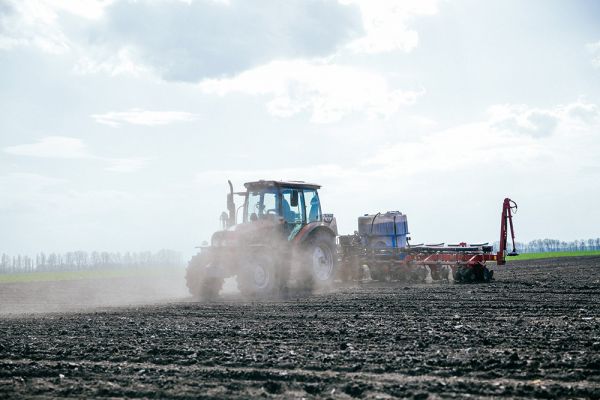 Посевная кампания яровой пшеницы в Украине