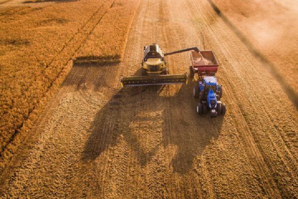 Уборка ранних зерновых в Украине