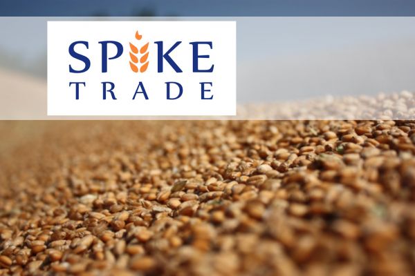 Spike Trade