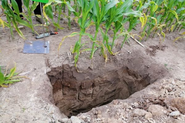 Провела агрохимический анализ почвы на Киевщине