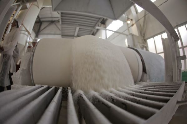 Beet sugar production