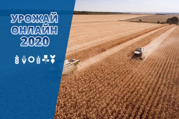Уборочная кампания в Украине 2020