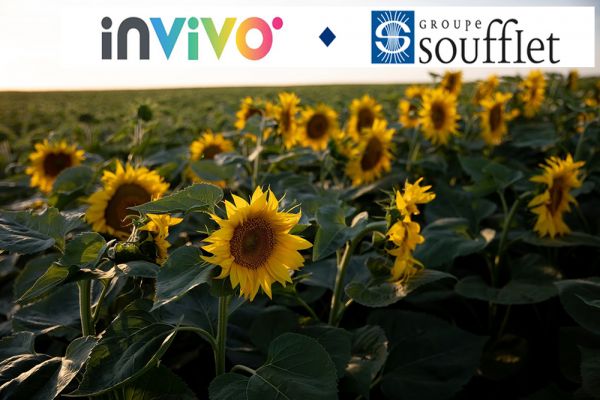 InVivo покупает Soufflet Group