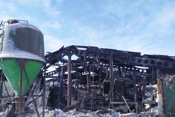 Пожар на ферме в Черниговской области