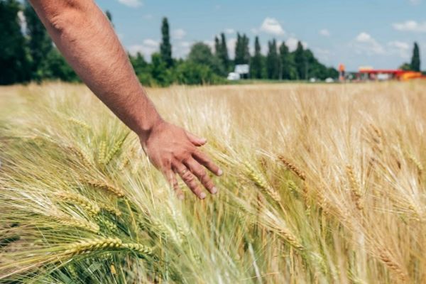 Agribusiness in Ukraine