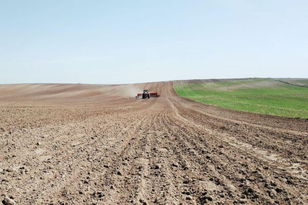 Planting progress in Ukraine