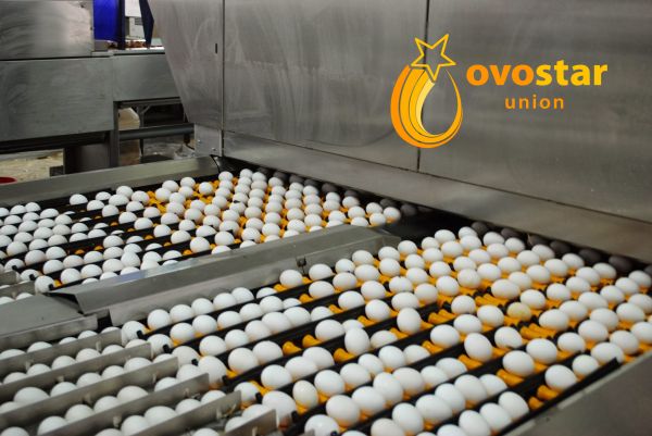 Ovostar Union production facility in Ukraine