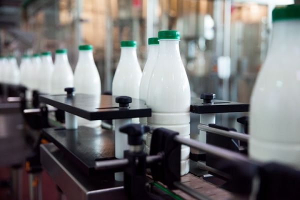 Dairy production in Ukraine