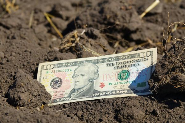 Земля сельхозназначения, деньги, финансы