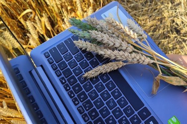 Поле Украины, ноутбук, пшеница