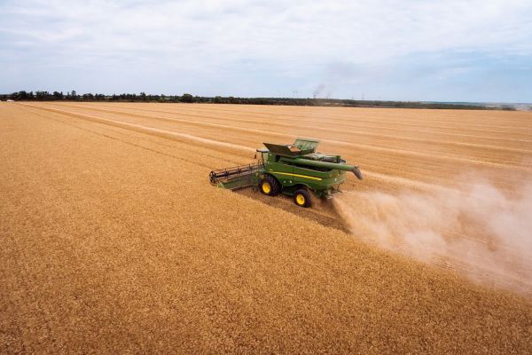 Grain harvest in Ukraine