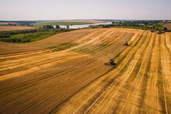 Уборка урожая в Украине