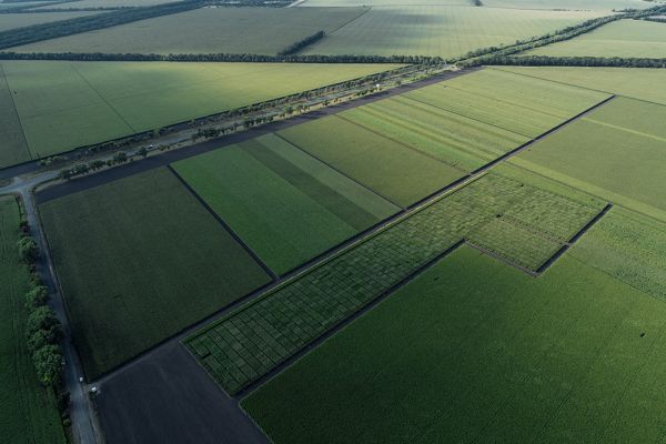 Agricultural land in Ukraine