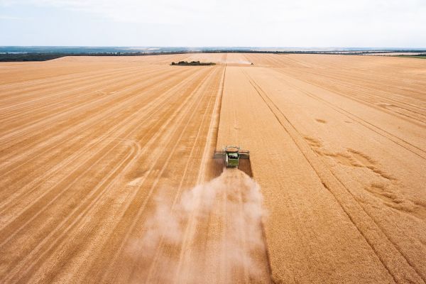 Cereals harvesting in Ukraine