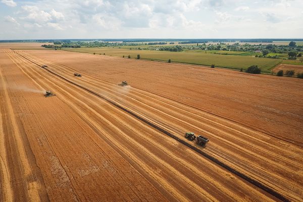 Уборка урожая ячменя в Украине 