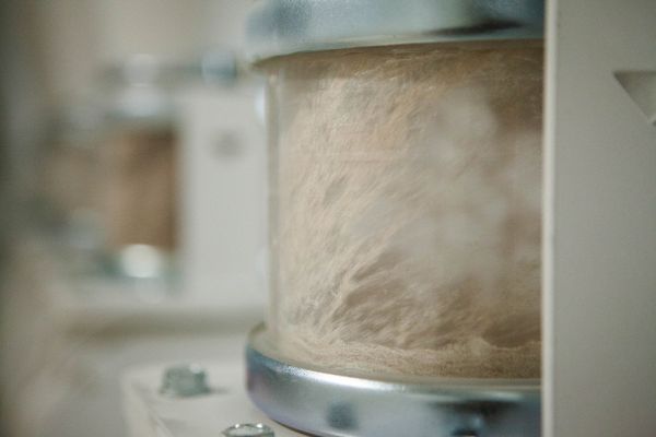 Wheat flour in Ukraine