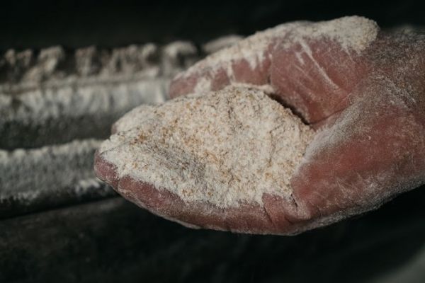 Wheat flour production in Ukraine