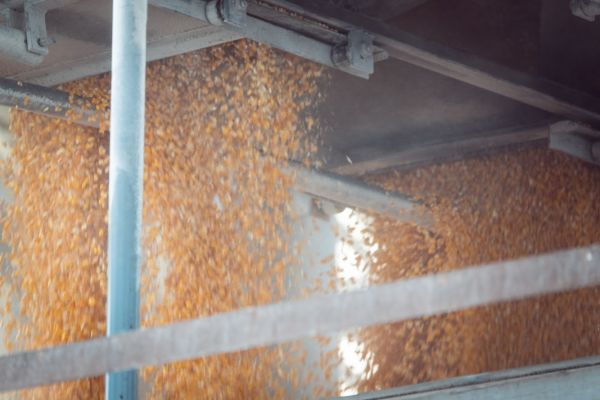 Corn shipment into a rail car at an elevator in Ukraine