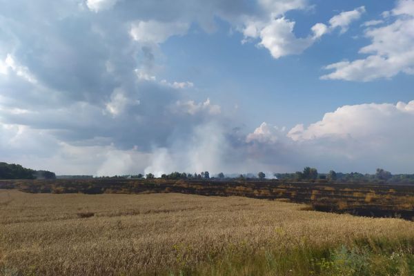Пожар пшеничного поля на Черниговщине