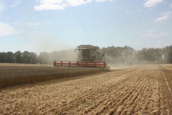 Grains harvesting in Ukraine