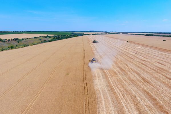 Уборка урожая пшеницы в Украине 