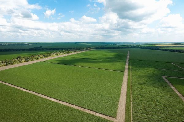 Cropland in Ukraine