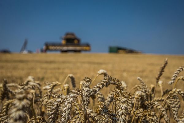Уборка урожая в Украине