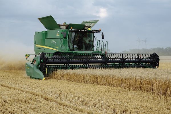 New crop wheat in Ukraine
